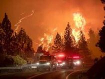В США пришли ранние лесные пожары
