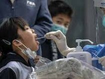 Из-за вспышки COVID-19 в Пекине закрыли все школы