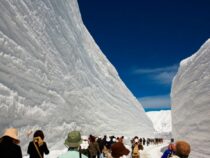 В Японии открылся гигантский снежный коридор