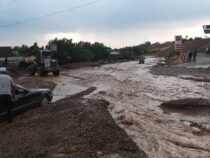 На трассе Таш-Кумыр – Майлуу-Суу машина уплыла и застряла под мостом