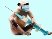 Советская прививка поможет людям старше 42 лет не заразиться оспой обезьян
