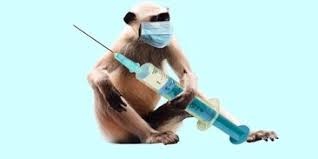 Советская прививка поможет людям старше 42 лет не заразиться оспой обезьян