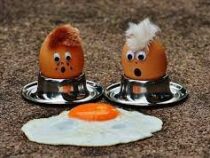 Португальские ученые впервые создали веганские яйца