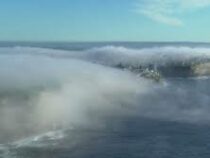 Сидней накрыло смогом