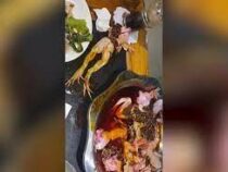 Обезглавленная лягушка выпрыгнула из блюда в китайском ресторане