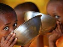 14 млн детей в мире голодают