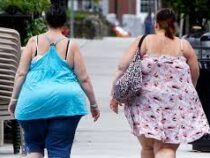 В США захотели запретить ожирение