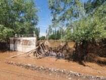 Материальный ущерб от селей оценивается почти в 90 млн сомов