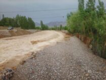 На юге страны из-за обильных осадков селевые потоки разрушают местные дороги