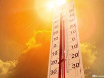 Сегодня и завтра в Бишкеке  ожидается пик жары в этом месяце