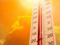 Кыргызстан накрыла жара Синоптики обещают до +40 градусов