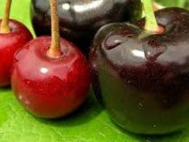 Диетолог раскрыл полезные свойства вишни и черешни