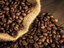 Экспорт бразильского кофе может сократиться на 15%