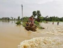 Число пострадавших от наводнения в Индии превысило 4,2 млн человек.