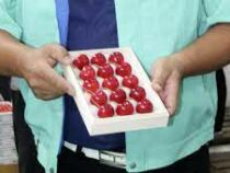 В Японии продали одну ягоду черешни по рекордной цене в 300 долларов