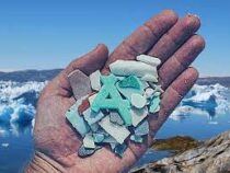 Микропластик обнаружили в свежем антарктическом снегу