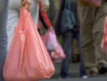 В Кыргызстане предлагают запретить оборот пластиковых пакетов