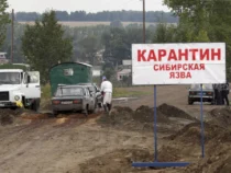 В Таласской области с подозрением на сибирскую язву госпитализированы 4 человека