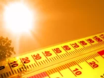 В Бишкеке  установилась рекордная жара +42 градуса!