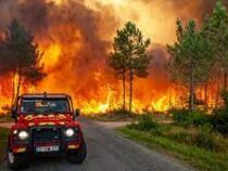Лесные пожары из-за сильной жары охватили Испанию и Францию