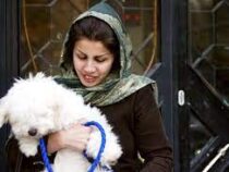 В Иране могут запретить держать домашних животных как «символы Запада»
