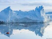 Ученые бьют тревогу: в Гренландии стремительно тают льды
