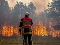 Аномальная жара и ветер мешают справиться с пожарами в Европе