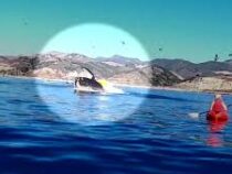 Горбатый кит у берегов Калифорнии чуть не съел двух девушек