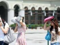 Самую сильную за 150 лет жару переживает Япония
