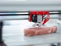 Российские ученые разработали 3D-принтер для создания мяса
