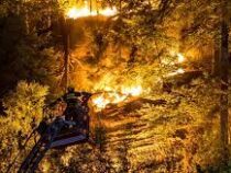 В Чехии пытаются обуздать масштабный пожар в нацпарке