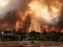 В Греции бушуют лесные пожары