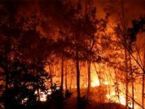 Масштабные природные пожары бушуют в о Франции