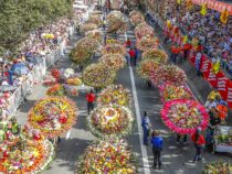 Фестиваль цветов проходит в колумбийском Медельине
