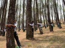 В Финляндии провели чемпионат по обниманию деревьев