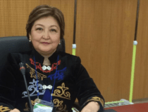 Гульнара Баатырова назначена исполняющей обязанности главы Минздрава