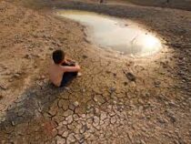 Засуха в Европе названа самой сильной за 500 лет