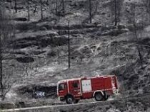 Пожарами в Испании выжжено 90 тысяч гектаров природных территорий