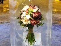 Ледяной букет: в Токио для охлаждения помещения замораживают живые цветы