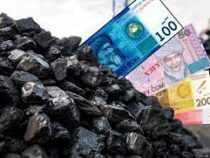 Малоимущие бишкекчане взамен угля получат материальную помощь