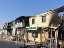 В селе Ак-Сай Лейлекского района сожжено 180 жилых домов