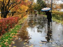 Настоящая осень с дождями и ветром придет в Бишкек только к концу сентября