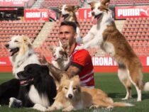 Испанский футбольный клуб разрешил приходить на стадион с животными
