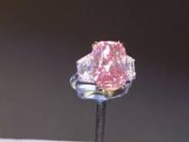 Розовый бриллиант стоимостью $21 млн выставлен перед торгами в Дубае