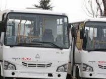 Узбекистан начал поставлять автобусы в Ош