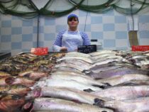 Половина произведенной в Кыргызстане  рыбы уходит на экспорт