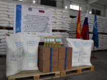 В Бишкек  доставлена  очередная партия продовольственной помощи из России