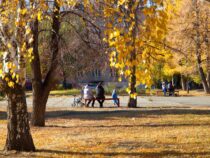 Солнечная погода  вернувшаяся в столичный регион  и в Бишкек задержится надолго