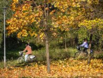 Синоптики  пообещали бишкечанам солнечную золотую осень с четверга