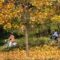 Синоптики  пообещали бишкечанам солнечную золотую осень с четверга
